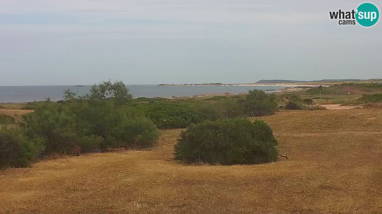 Spiaggia Mari Ermi | Is Arutas – Oristano