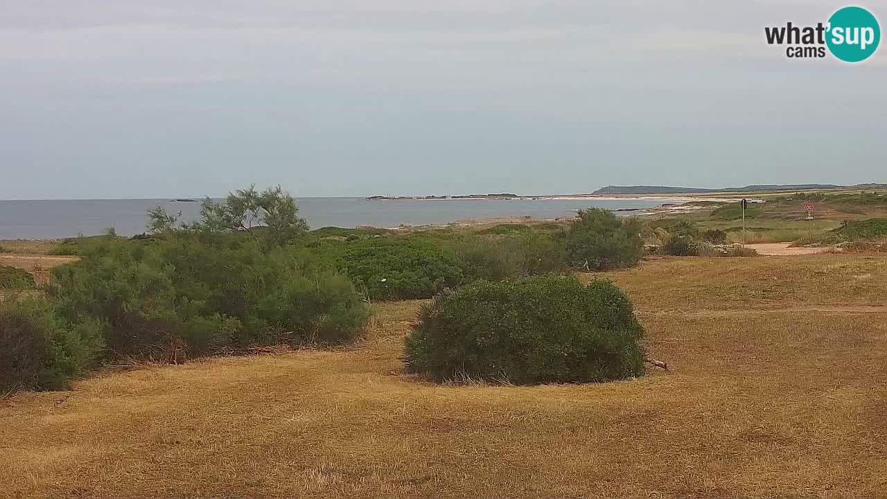 Spiaggia Mari Ermi | Is Arutas – Oristano