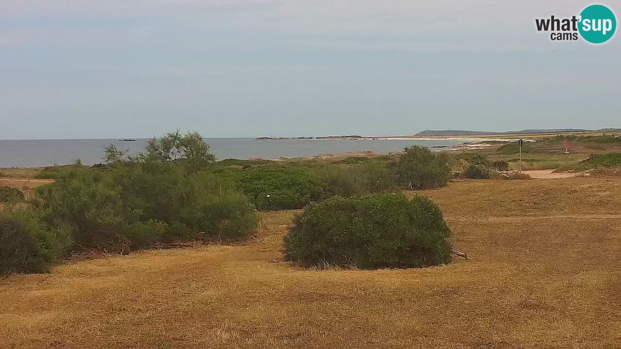 Mari Ermi Strand | Is Arutas – Oristano