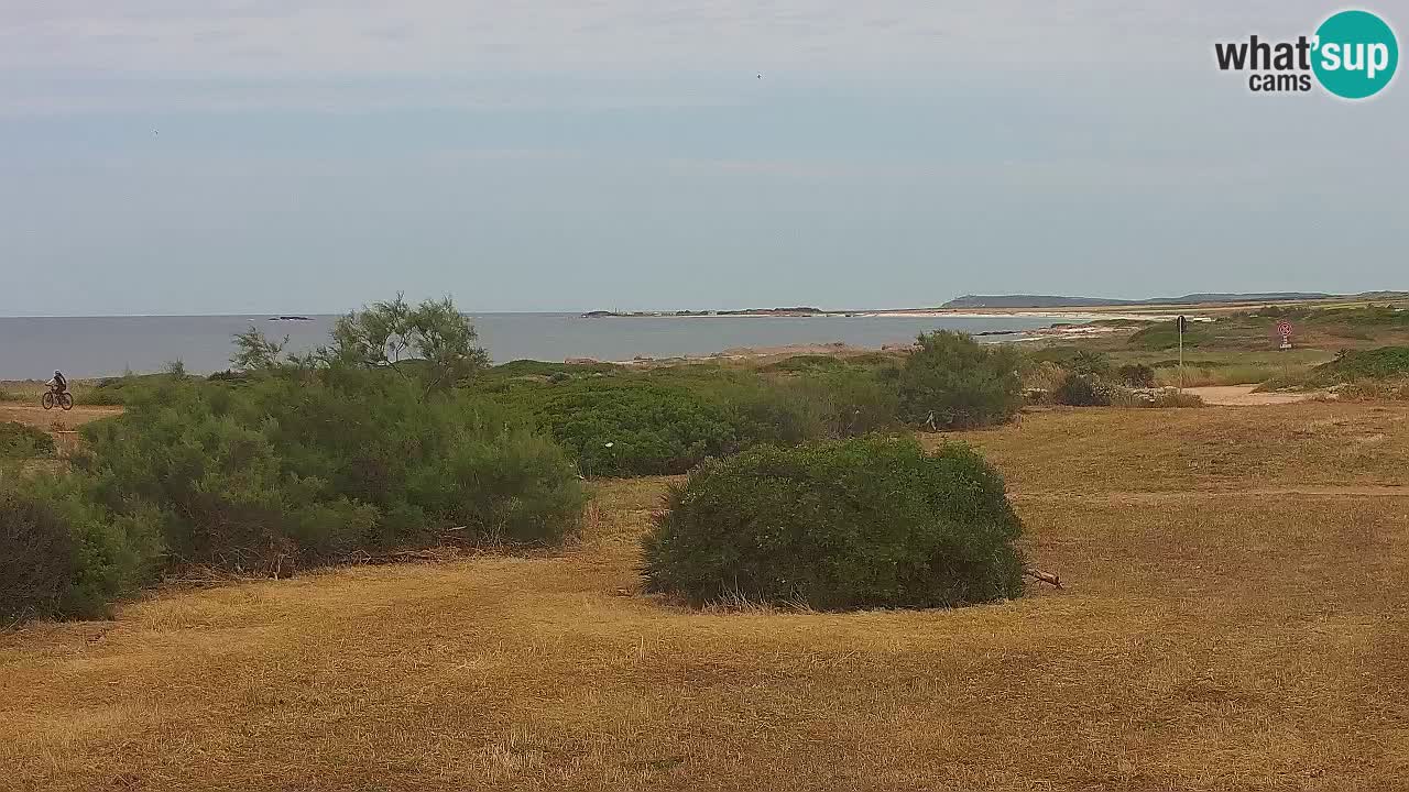 Playa Mari Ermi | Is Arutas – Oristano