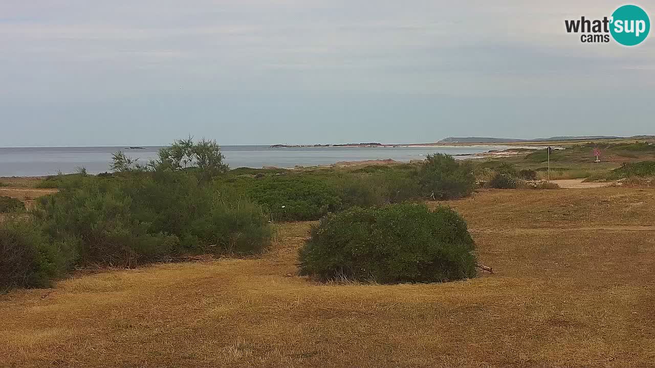 Spiaggia Mari Ermi | Is Arutas – Oristano