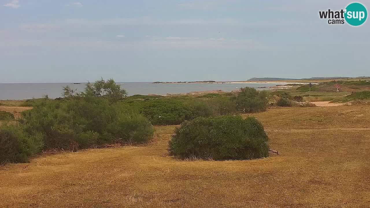 Playa Mari Ermi | Is Arutas – Oristano