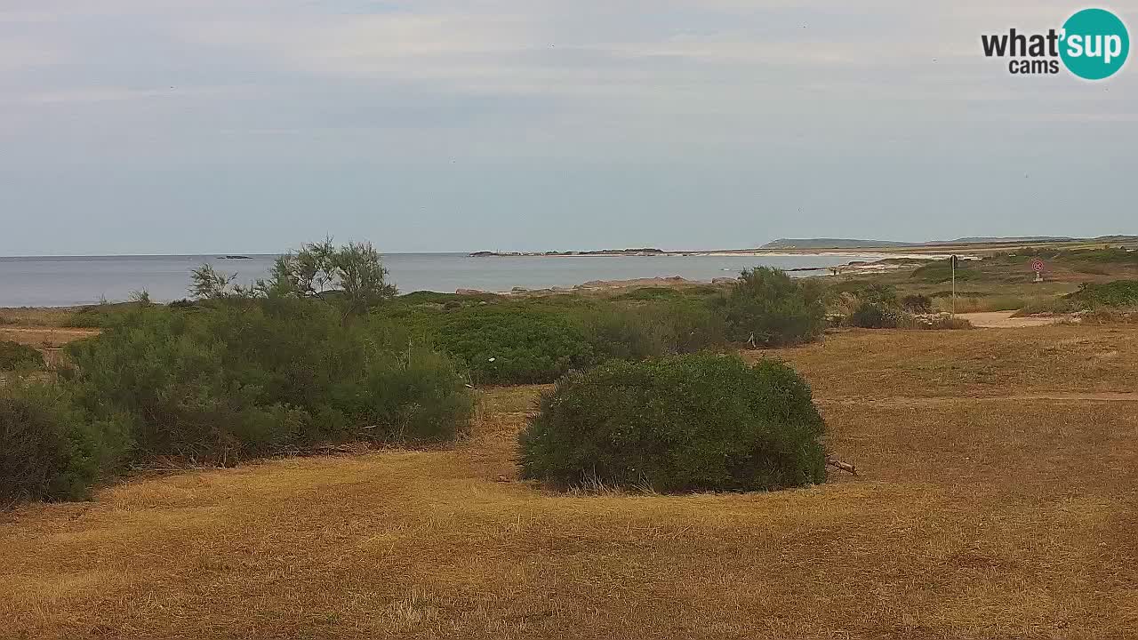 Mari Ermi Strand | Is Arutas – Oristano