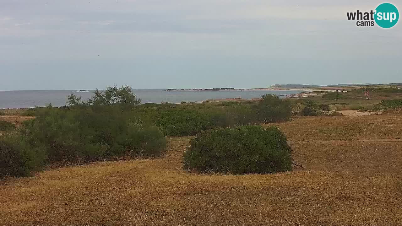 Spiaggia Mari Ermi | Is Arutas – Oristano