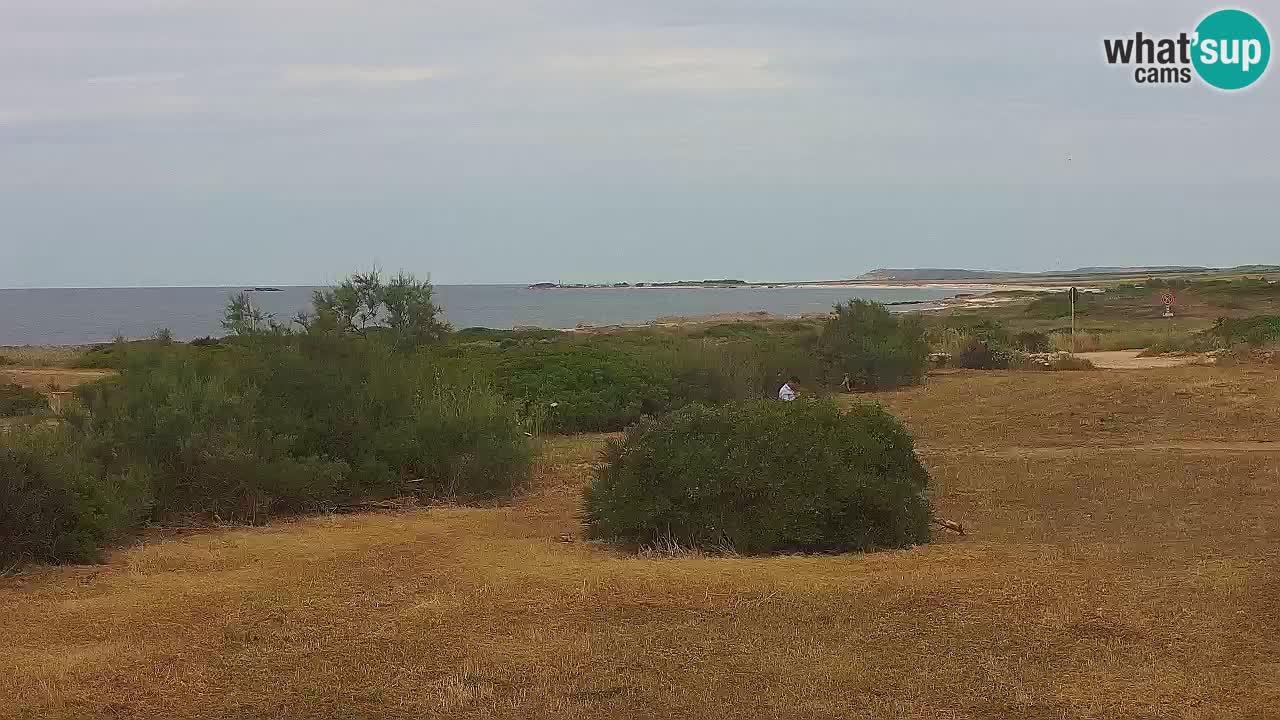 Plaža Mari Ermi | Is Arutas – Oristano