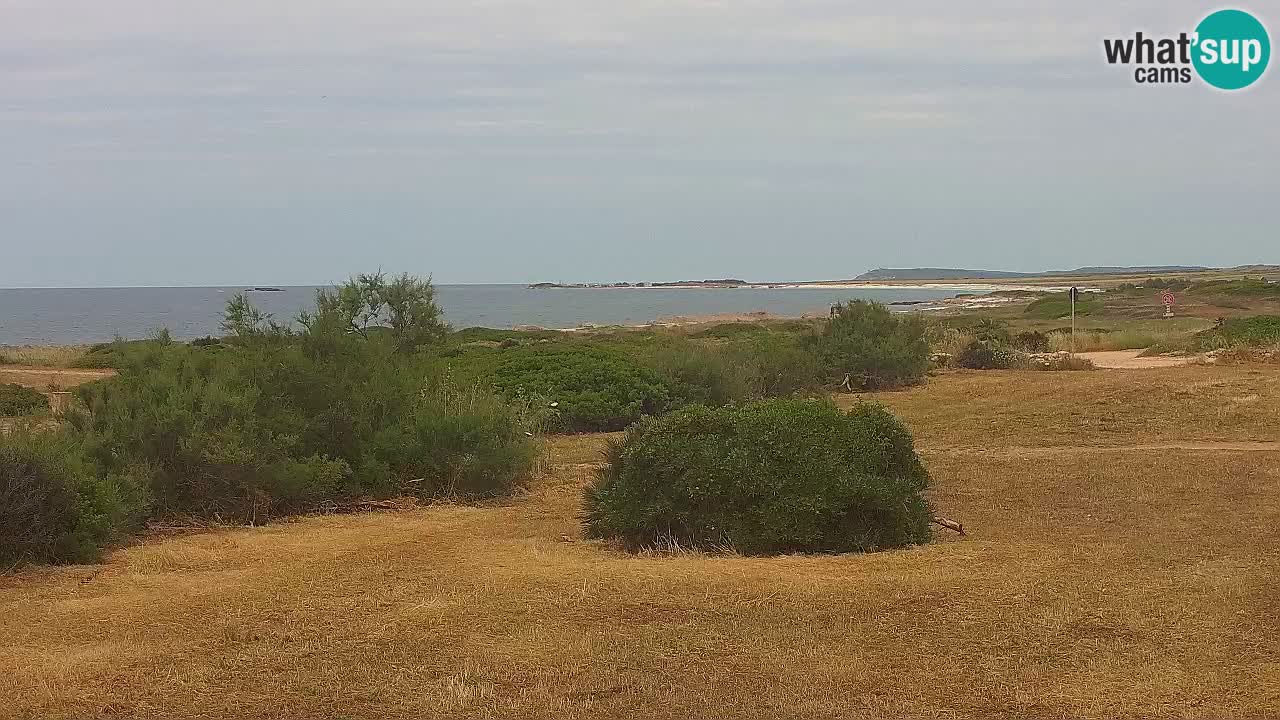 Plaža Mari Ermi | Is Arutas – Oristano