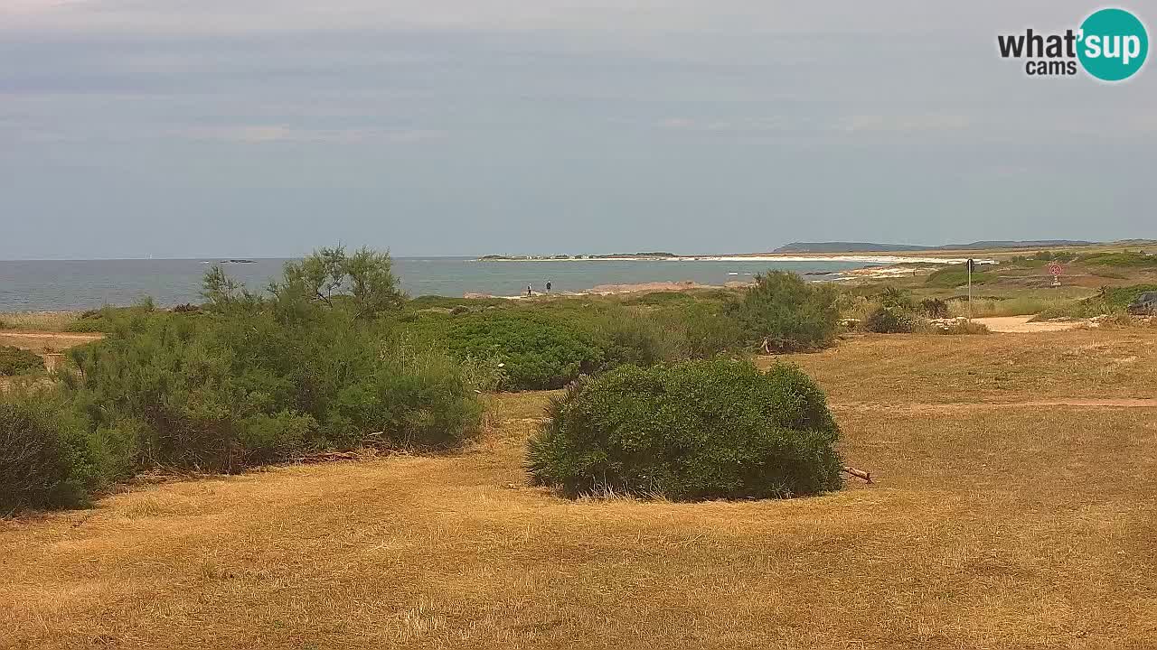 Spiaggia Mari Ermi | Is Arutas – Oristano