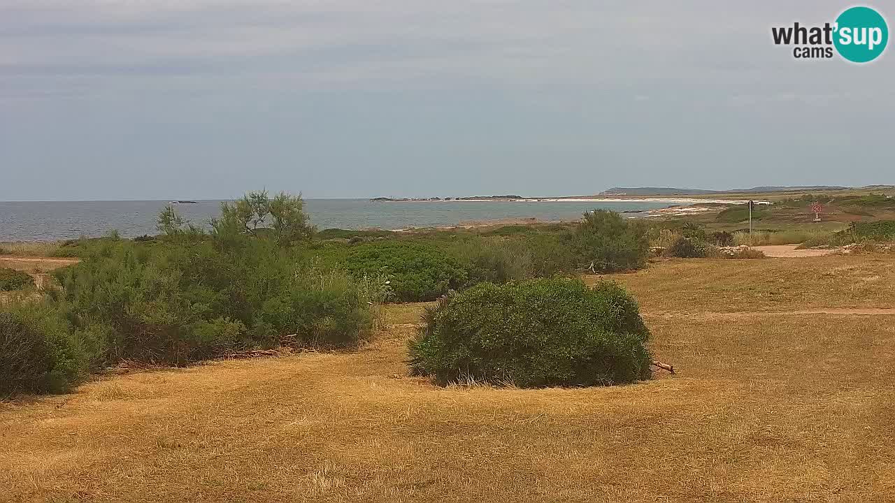 Playa Mari Ermi | Is Arutas – Oristano