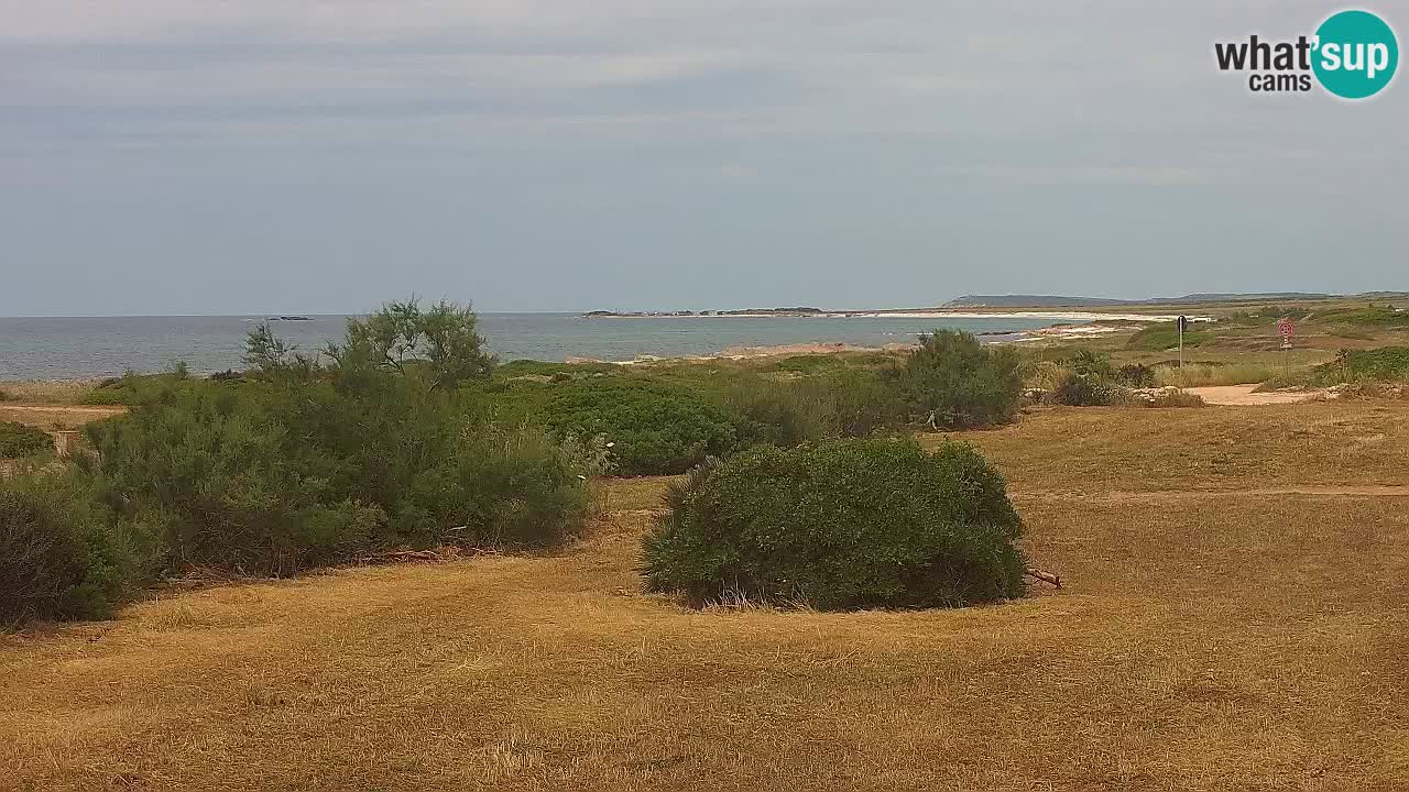 Mari Ermi beach | Is Arutas – Oristano