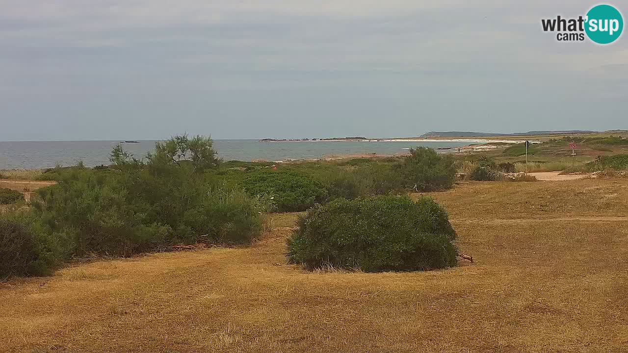 Mari Ermi beach | Is Arutas – Oristano