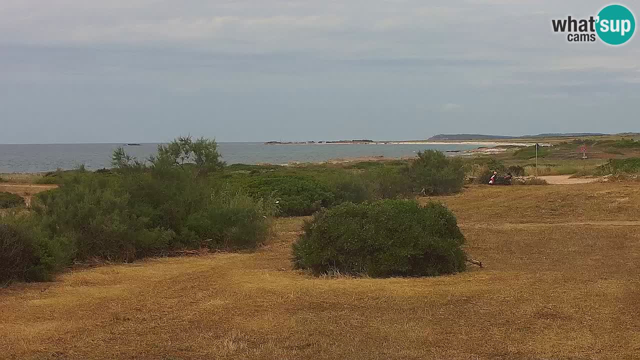 Plaža Mari Ermi | Is Arutas – Oristano