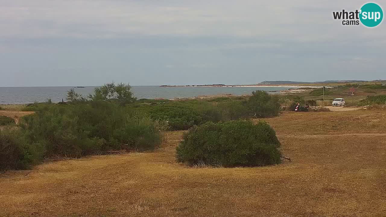 Mari Ermi Strand | Is Arutas – Oristano