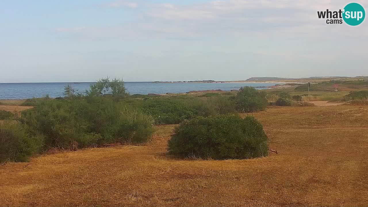 Mari Ermi Strand | Is Arutas – Oristano