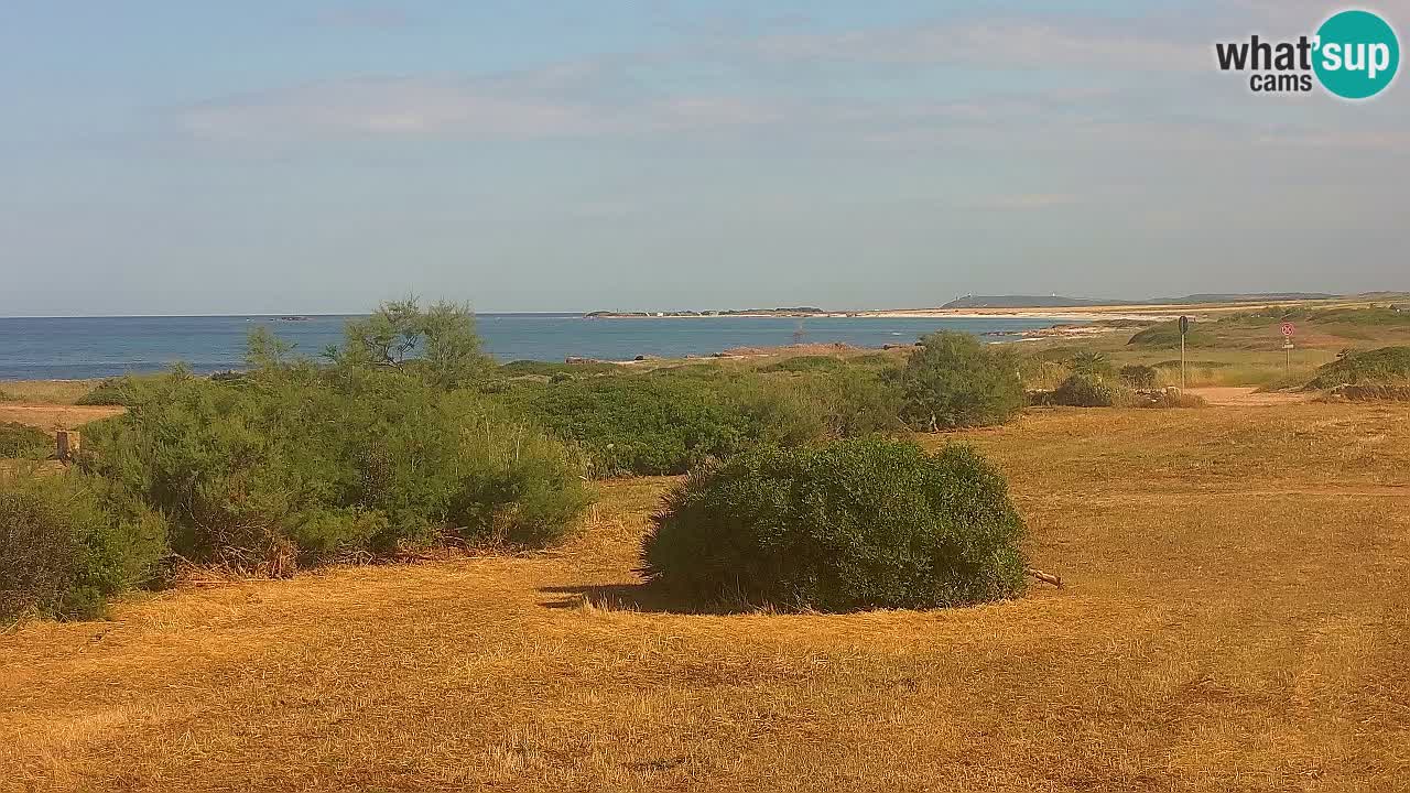 Mari Ermi Strand | Is Arutas – Oristano