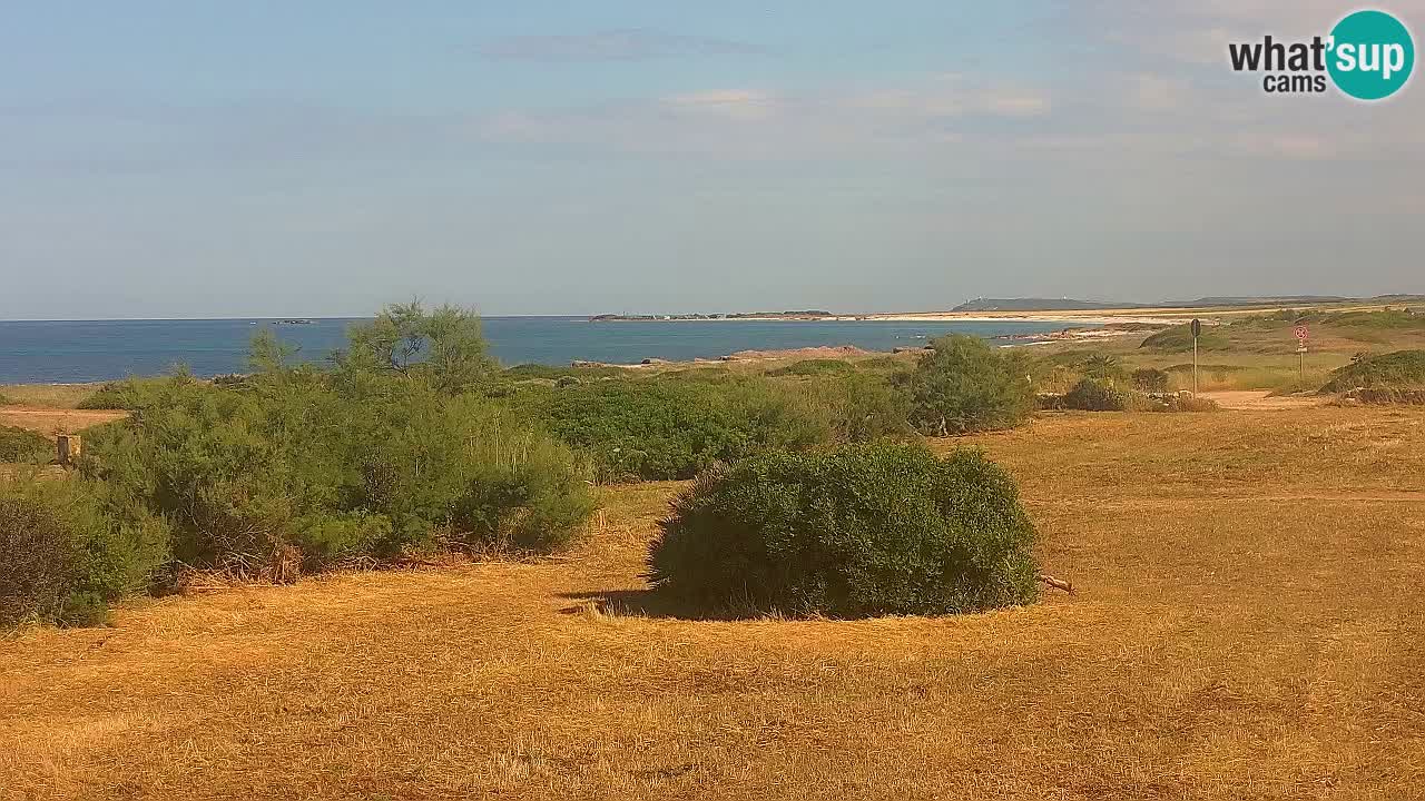 Mari Ermi Strand | Is Arutas – Oristano