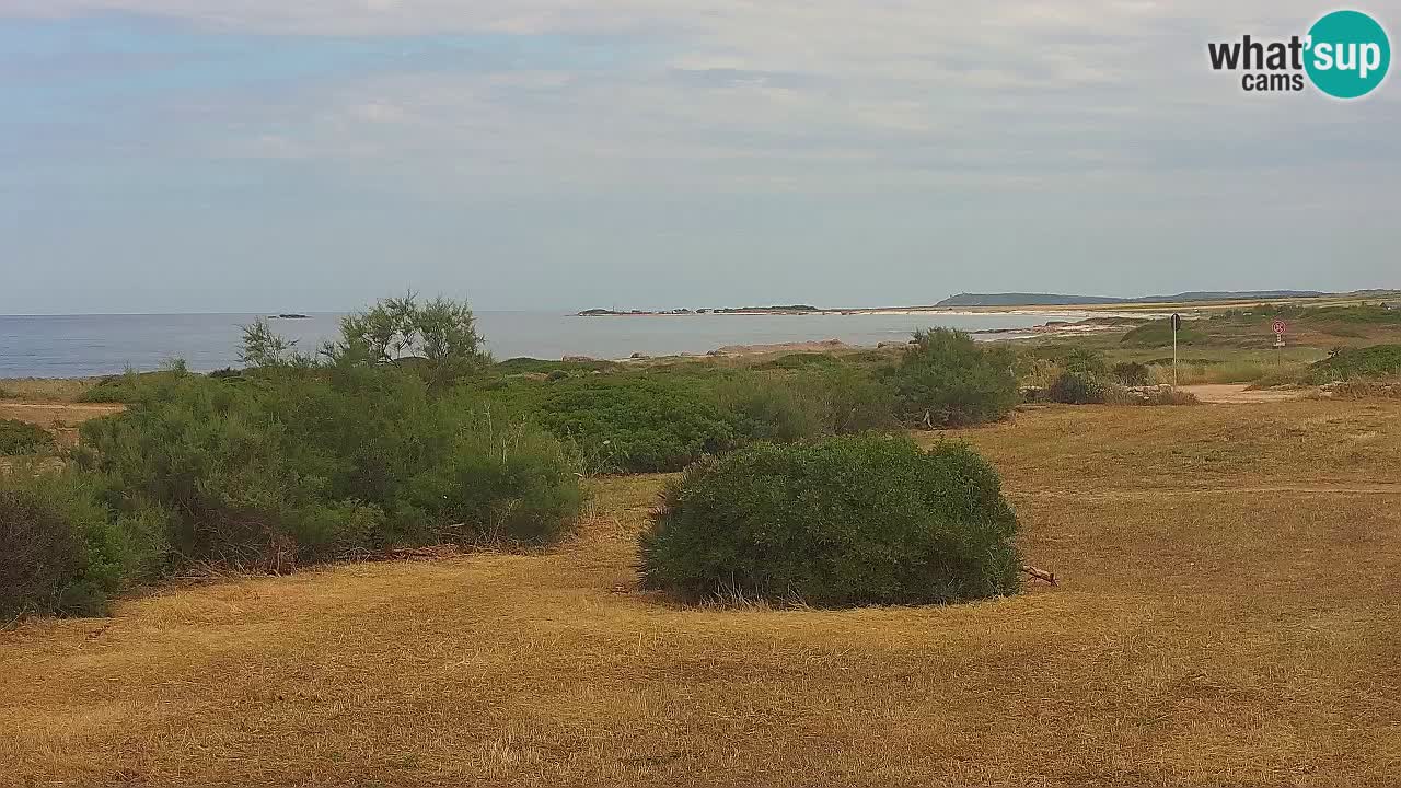 Plaža Mari Ermi | Is Arutas – Oristano