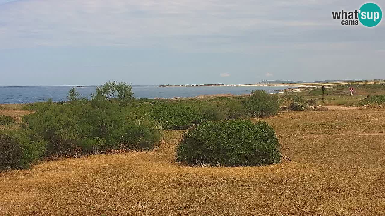 Plage Mari Ermi | Is Arutas – Oristano