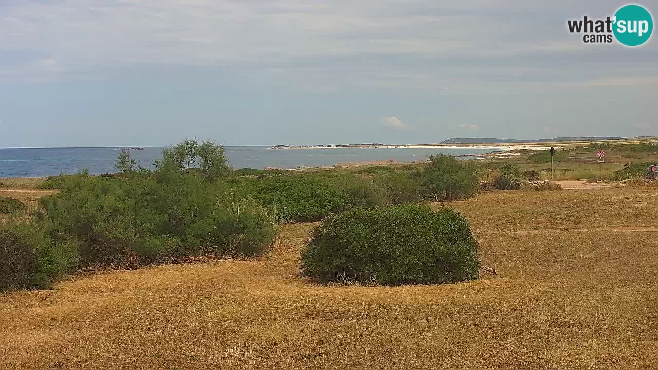 Spiaggia Mari Ermi | Is Arutas – Oristano