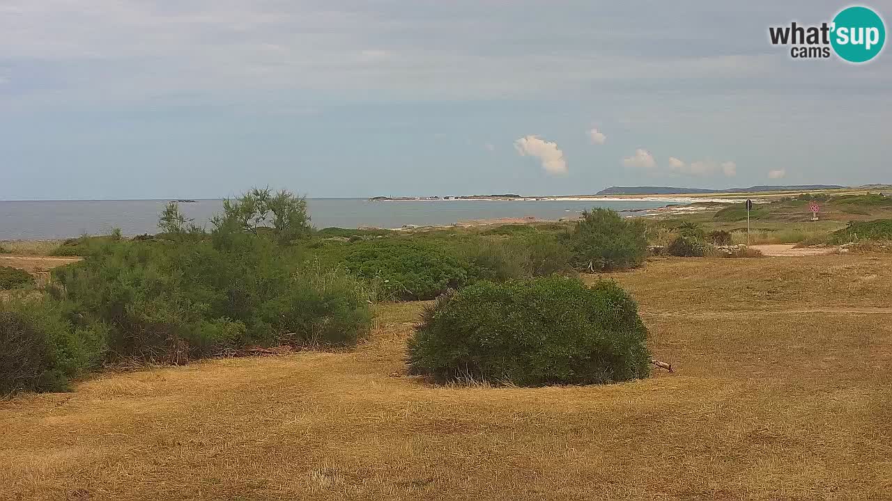 Mari Ermi Strand | Is Arutas – Oristano
