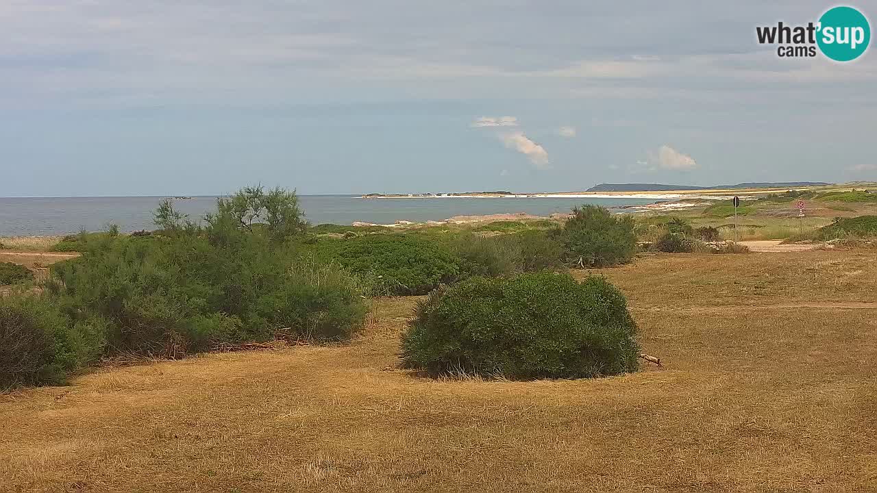 Mari Ermi Strand | Is Arutas – Oristano