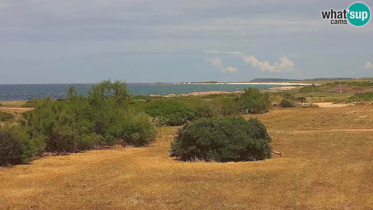 Plaža Mari Ermi | Is Arutas – Oristano