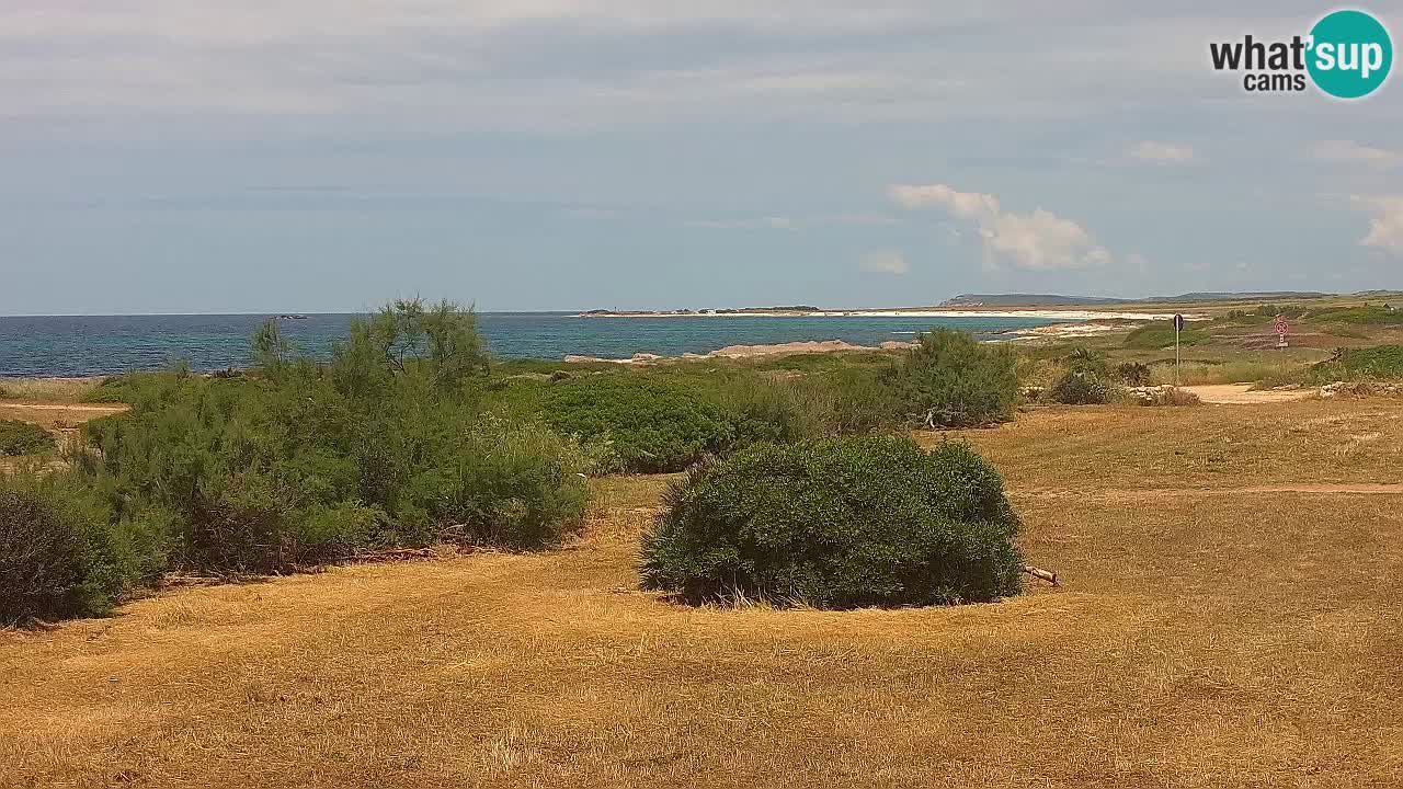 Mari Ermi beach | Is Arutas – Oristano