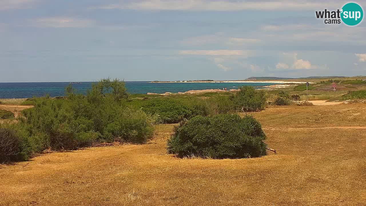 Mari Ermi beach | Is Arutas – Oristano