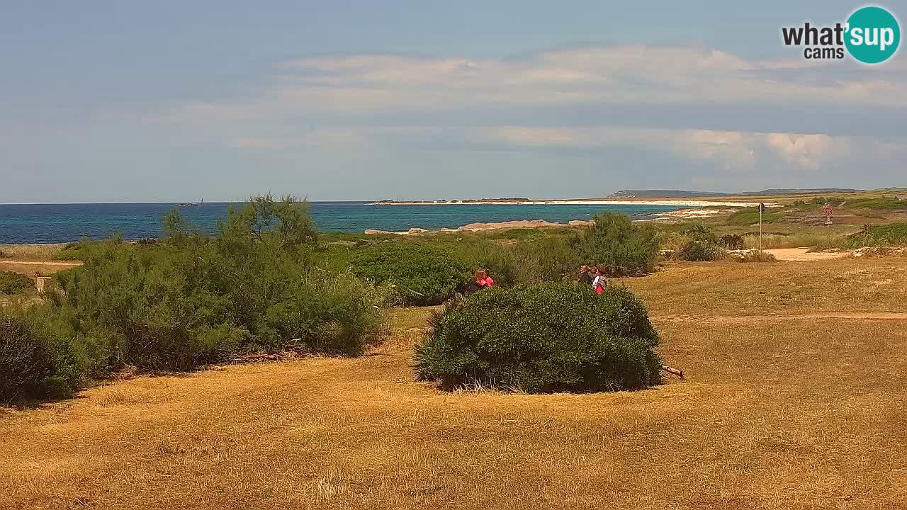 Mari Ermi Strand | Is Arutas – Oristano
