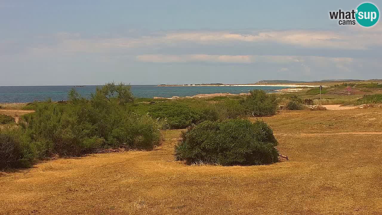 Mari Ermi beach | Is Arutas – Oristano