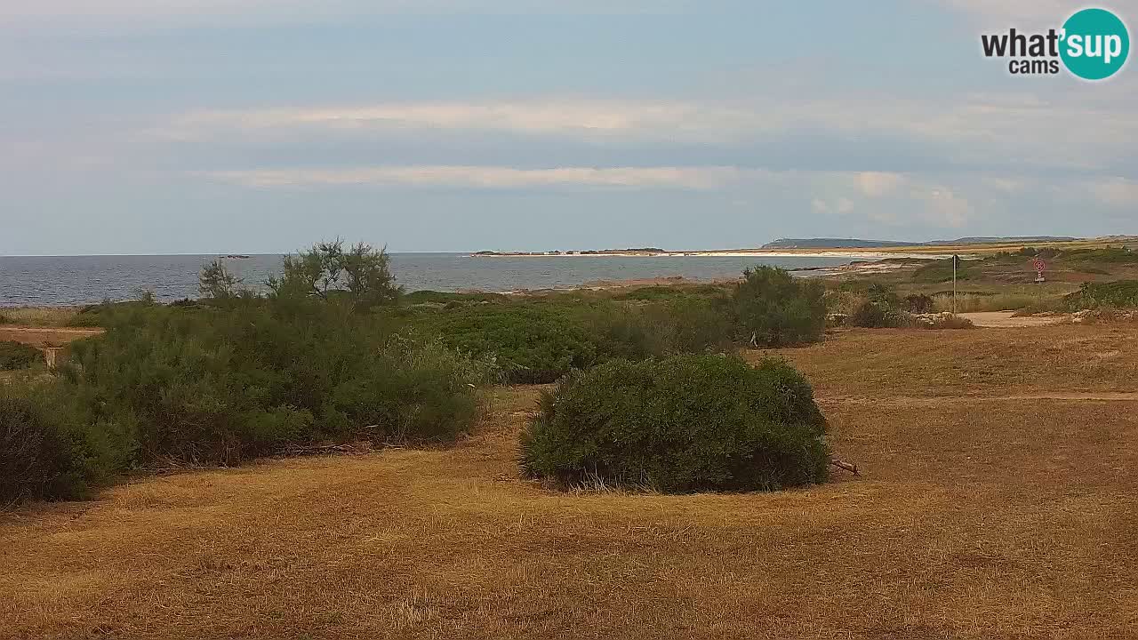 Mari Ermi Strand | Is Arutas – Oristano
