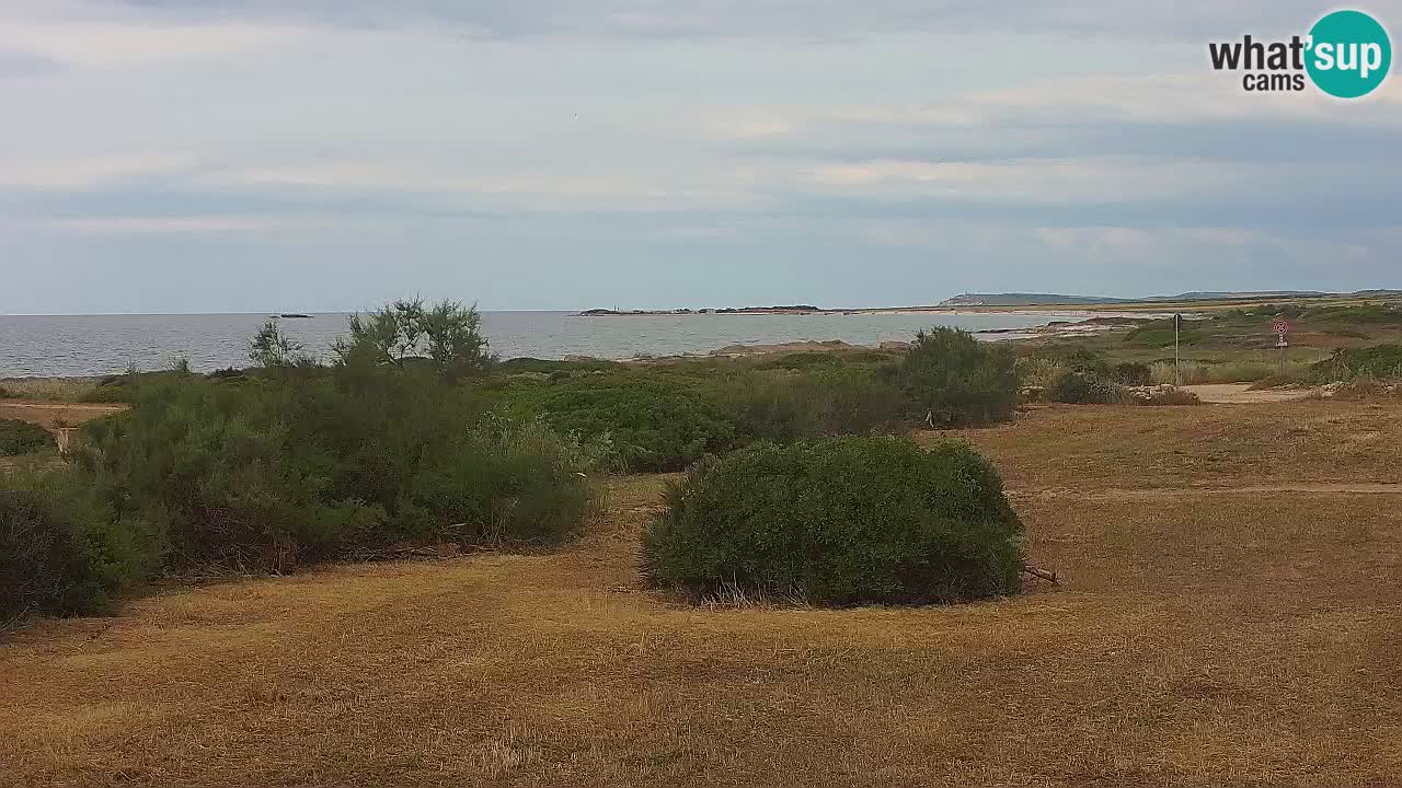 Mari Ermi beach | Is Arutas – Oristano