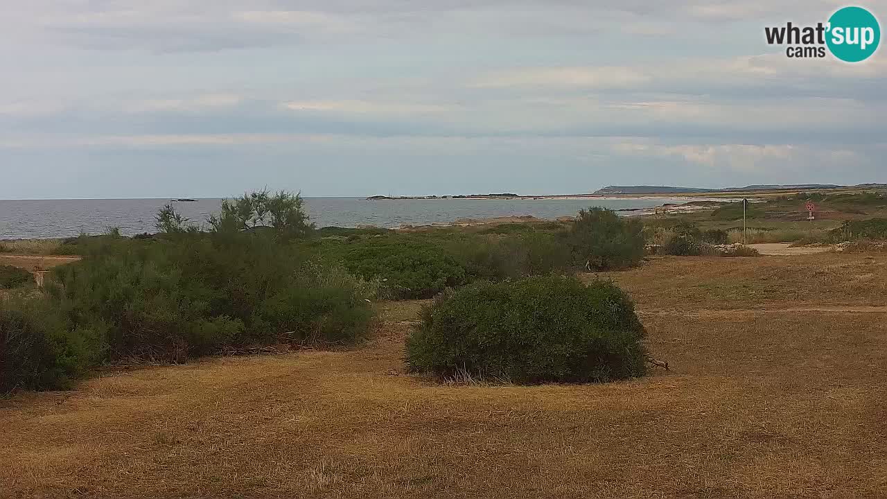 Mari Ermi beach | Is Arutas – Oristano