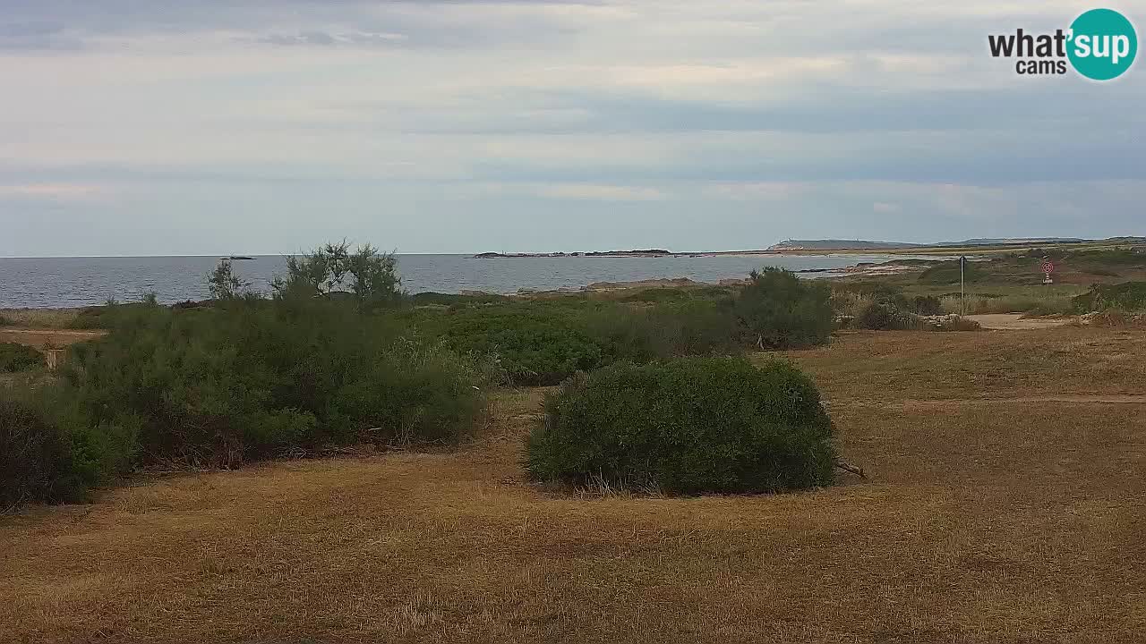 Mari Ermi beach | Is Arutas – Oristano