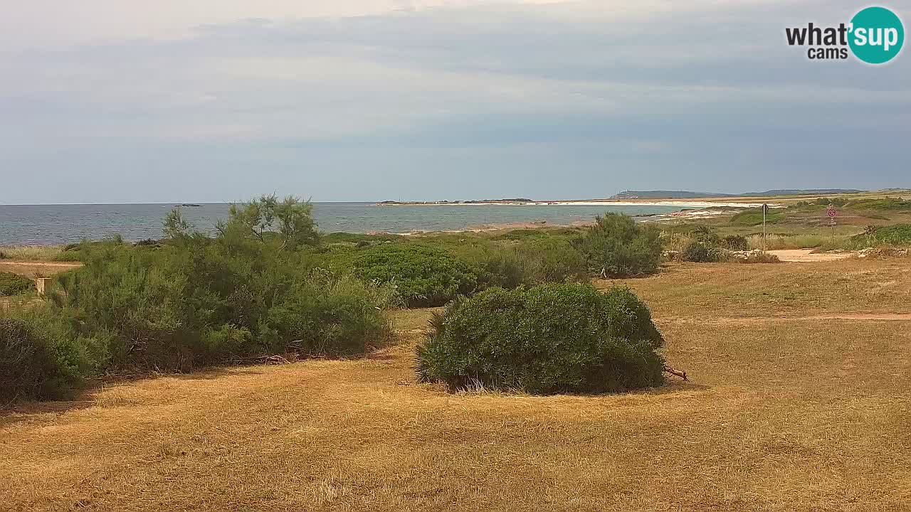 Plaža Mari Ermi | Is Arutas – Oristano