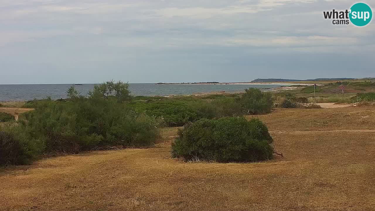 Spiaggia Mari Ermi | Is Arutas – Oristano