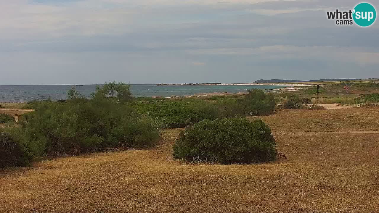 Playa Mari Ermi | Is Arutas – Oristano