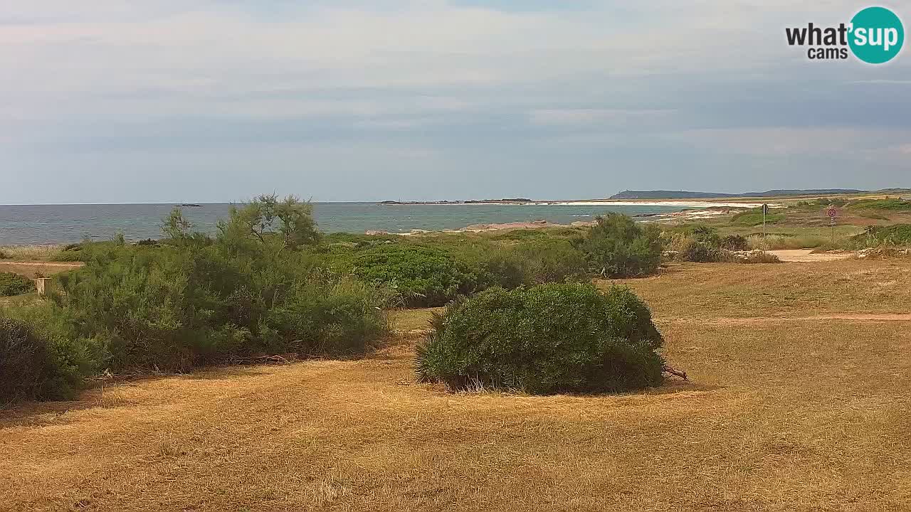 Plaža Mari Ermi | Is Arutas – Oristano