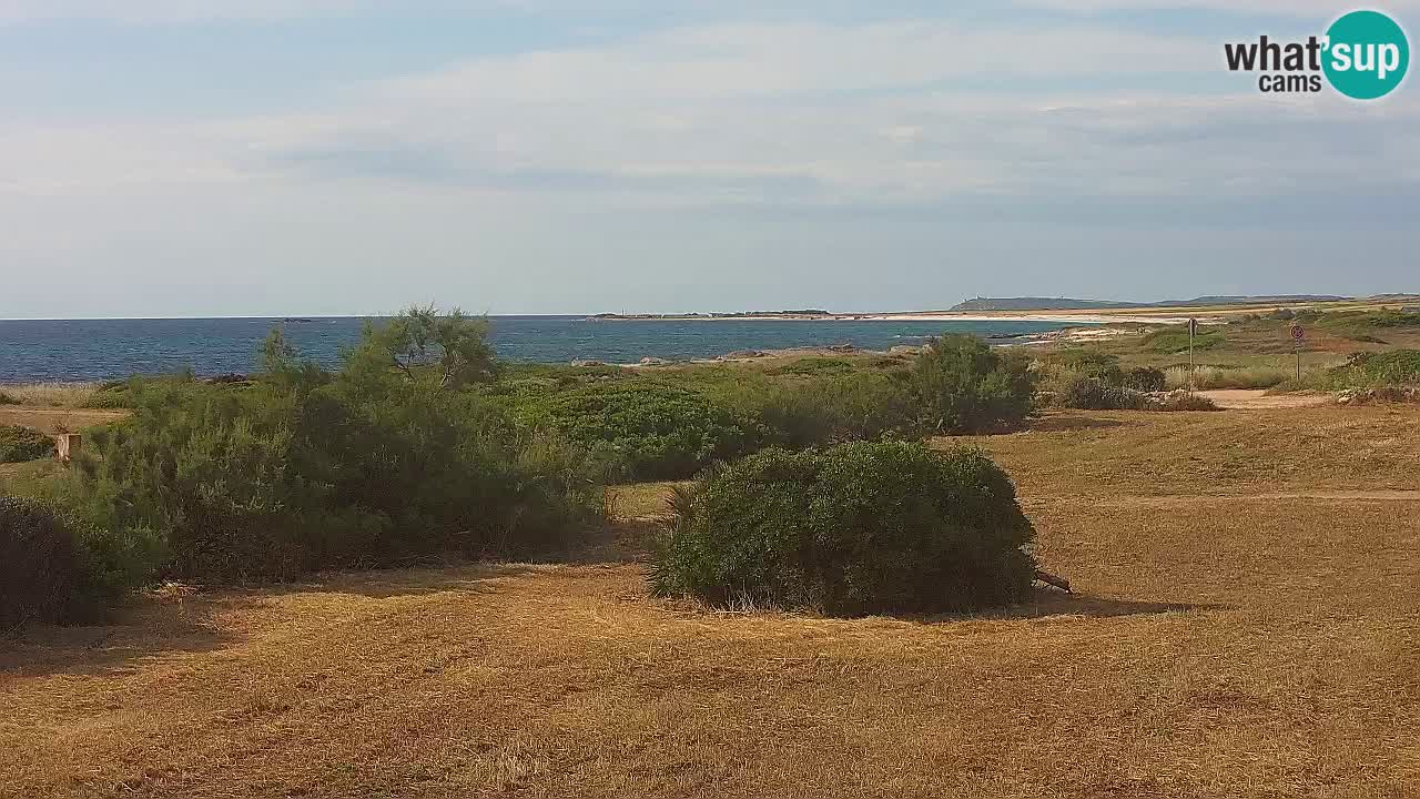 Spiaggia Mari Ermi | Is Arutas – Oristano