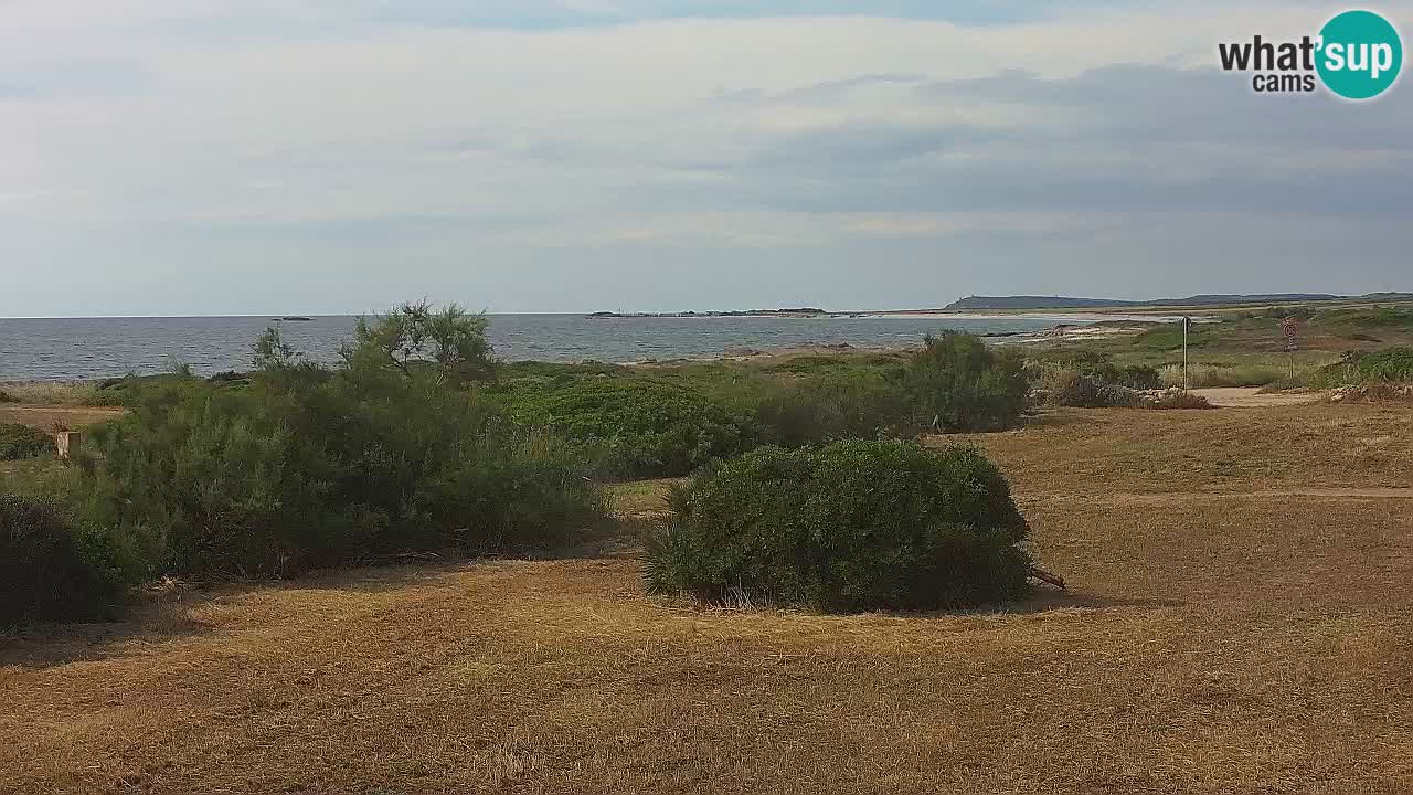 Spiaggia Mari Ermi | Is Arutas – Oristano