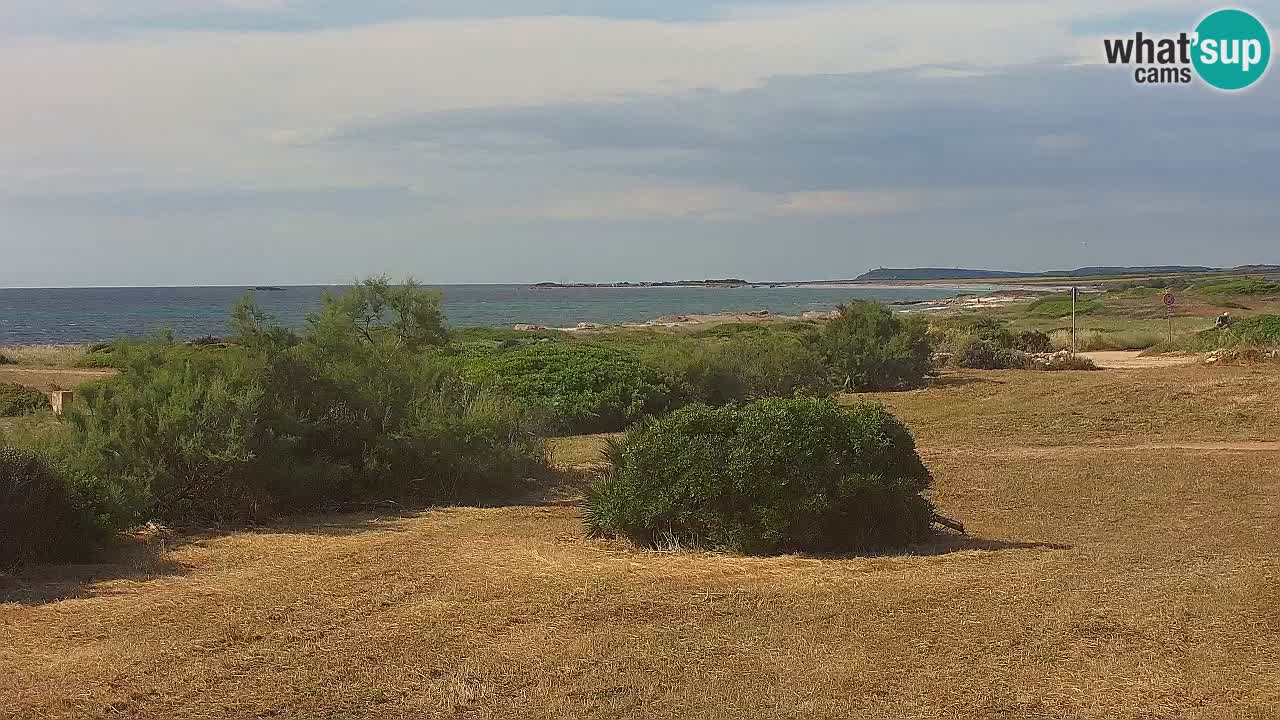 Playa Mari Ermi | Is Arutas – Oristano