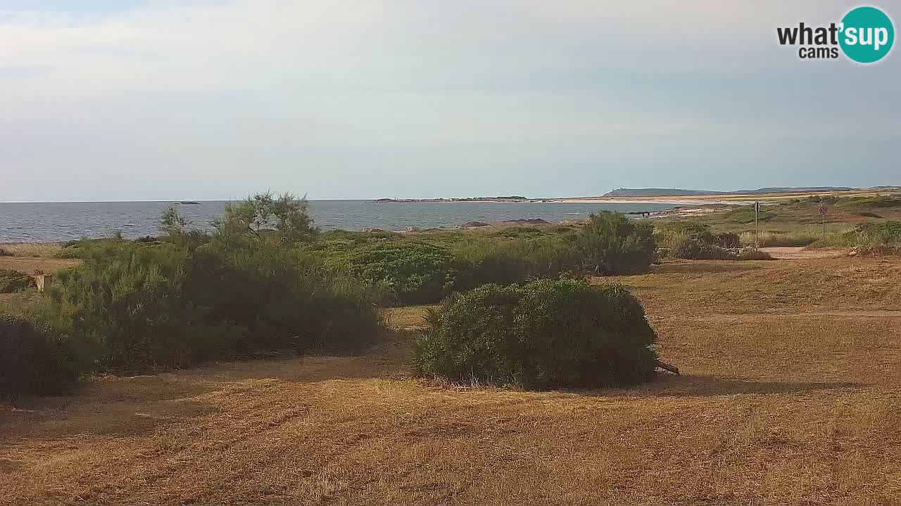Mari Ermi Strand | Is Arutas – Oristano