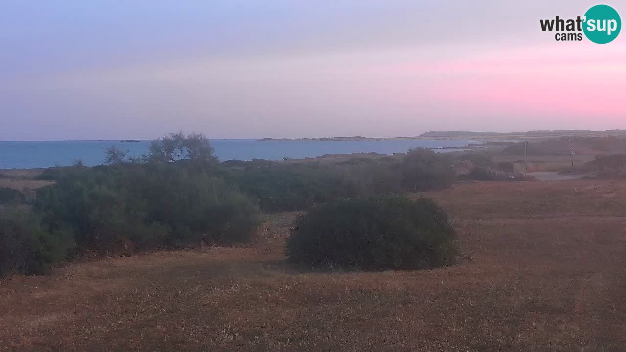 Playa Mari Ermi | Is Arutas – Oristano