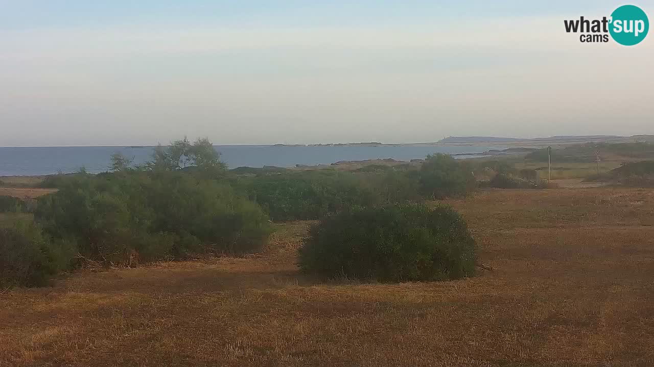 Mari Ermi Strand | Is Arutas – Oristano
