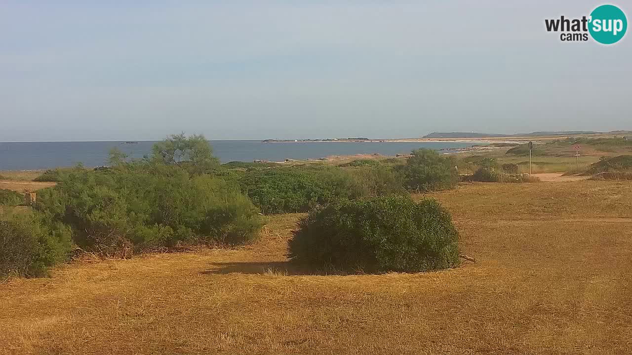 Plage Mari Ermi | Is Arutas – Oristano