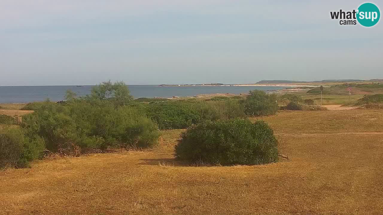 Mari Ermi Strand | Is Arutas – Oristano