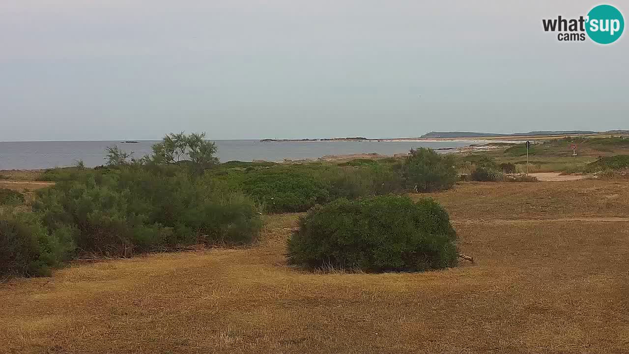 Plaža Mari Ermi | Is Arutas – Oristano