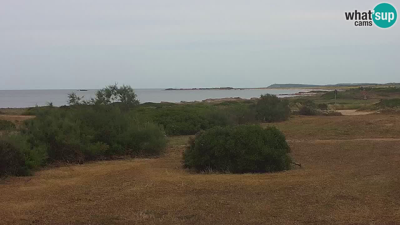 Plaža Mari Ermi | Is Arutas – Oristano
