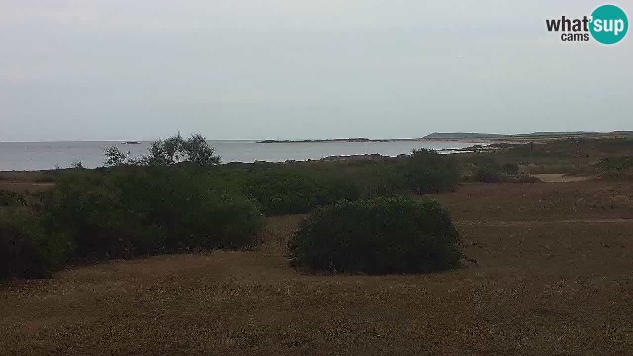Plage Mari Ermi | Is Arutas – Oristano