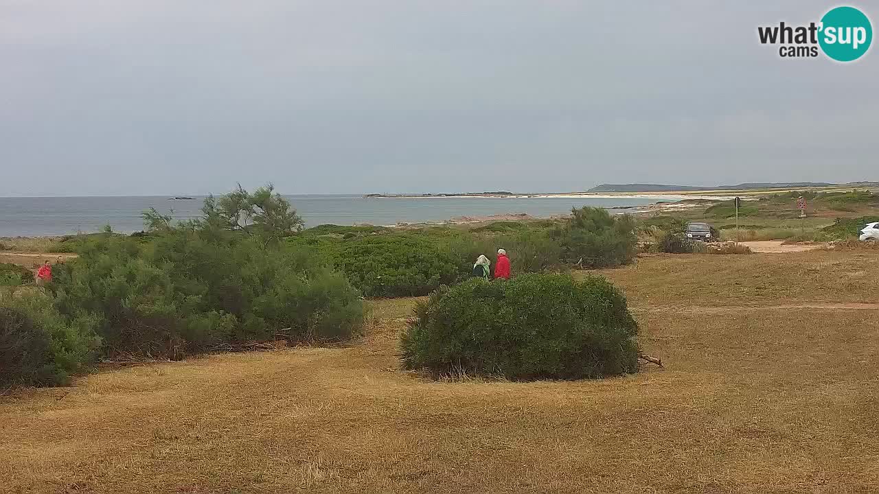 Plaža Mari Ermi | Is Arutas – Oristano