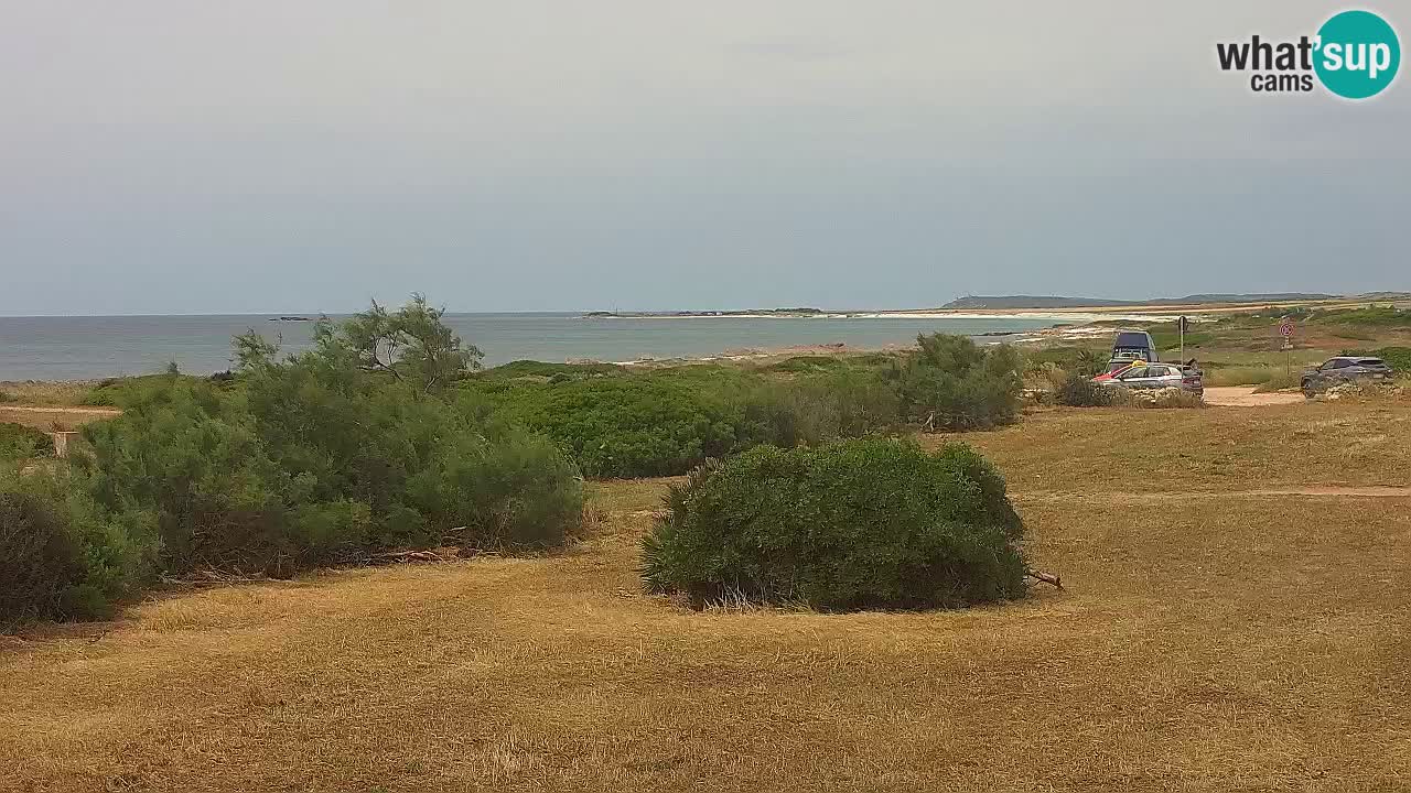 Playa Mari Ermi | Is Arutas – Oristano